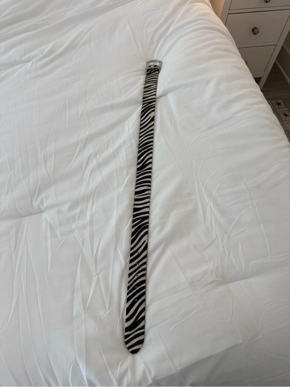 Zebra Print Leather Belt with Silver Buckle - Women Accessories